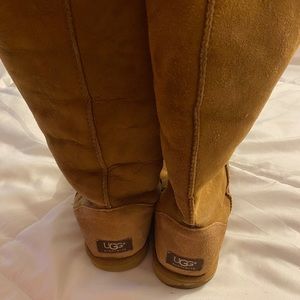 Classic tall chestnut ugg